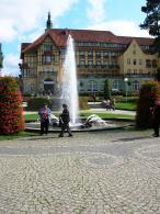 Kudowa 2008
